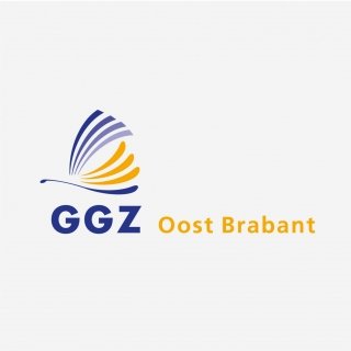 GGZ Oost-Brabant optimale managementinformatiestrategie