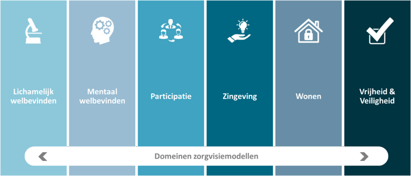 Domeinen-zorgvisiemodellen