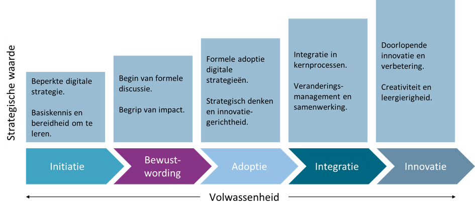 Volwassenheid - strategische waarde